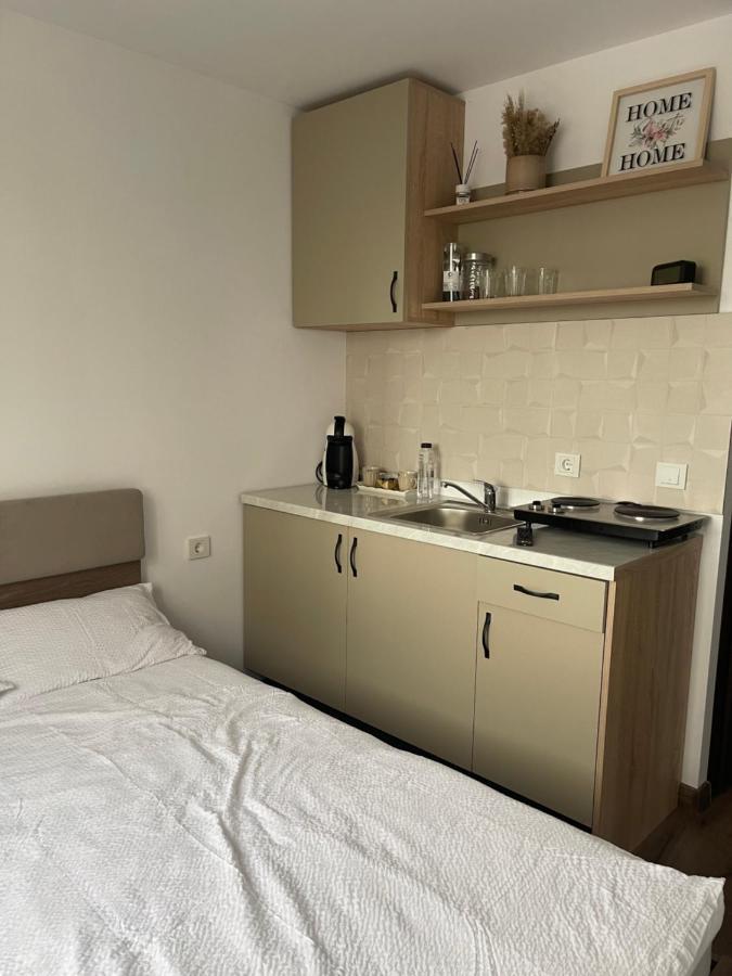 Garsoniera Luca Apartment Drobeta Turnu Severin Exterior foto
